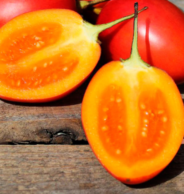 tomate-de-arbol-1