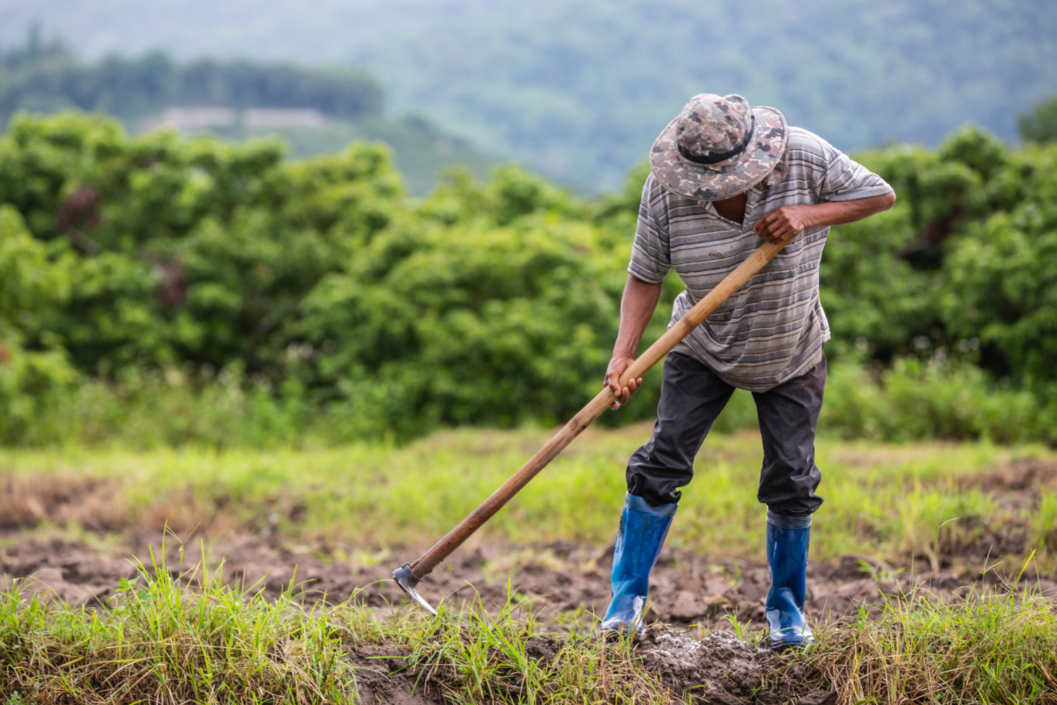 agricultor-que-usa-pala-cavar-suelo-sus-campos-arroz